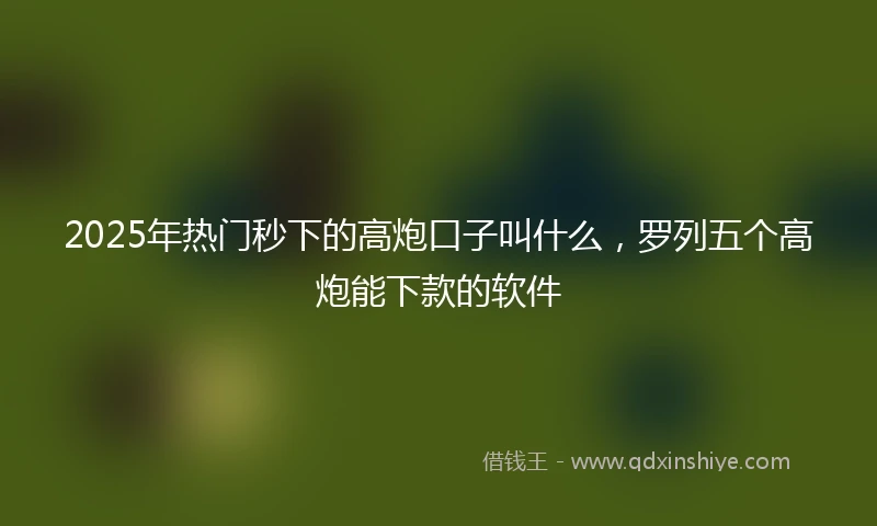 2025年热门秒下的高炮口子叫什么，罗列五个高炮能下款的软件
