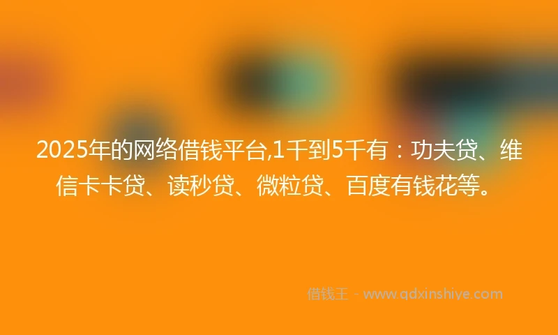 2025年的网络借钱平台,1千到5千有：功夫贷、维信卡卡贷、读秒贷、微粒贷、百度有钱花等。
