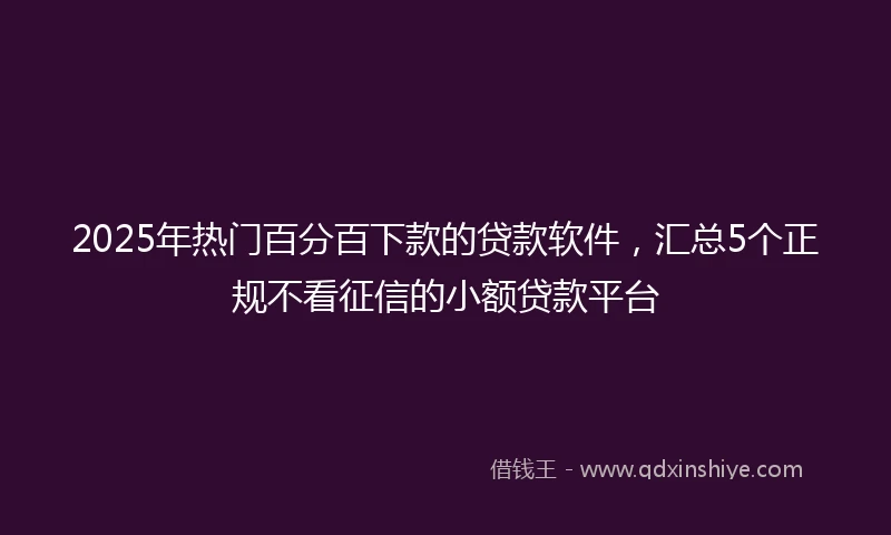 2025年热门百分百下款的贷款软件，汇总5个正规不看征信的小额贷款平台
