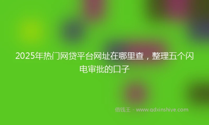 2025年热门网贷平台网址在哪里查，整理五个闪电审批的口子