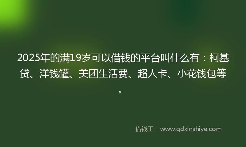 2025年的满19岁可以借钱的平台叫什么有：柯基贷、洋钱罐、美团生活费、超人卡、小花钱包等。