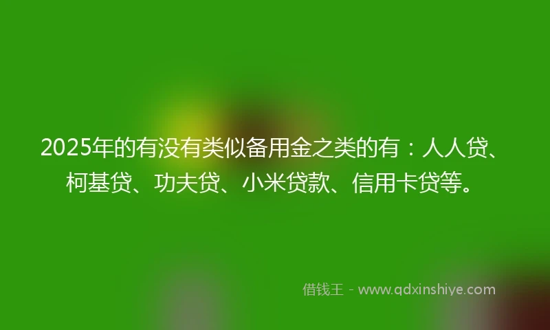 2025年的有没有类似备用金之类的有：人人贷、柯基贷、功夫贷、小米贷款、信用卡贷等。