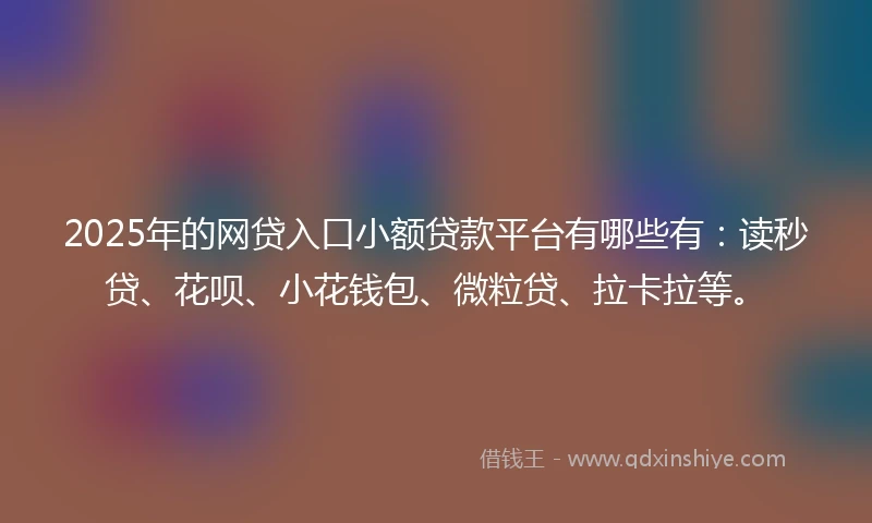 2025年的网贷入口小额贷款平台有哪些有：读秒贷、花呗、小花钱包、微粒贷、拉卡拉等。