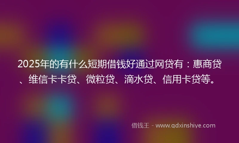 2025年的有什么短期借钱好通过网贷有：惠商贷、维信卡卡贷、微粒贷、滴水贷、信用卡贷等。