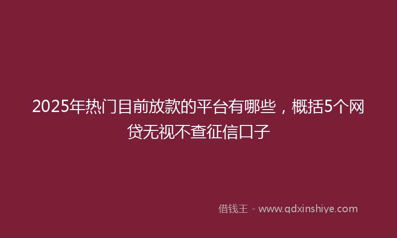 2025年热门目前放款的平台有哪些，概括5个网贷无视不查征信口子