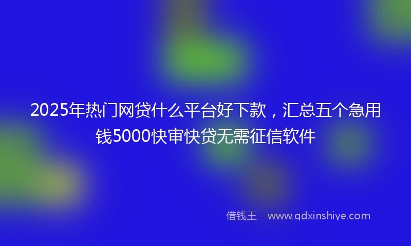 2025年热门网贷什么平台好下款，汇总五个急用钱5000快审快贷无需征信软件