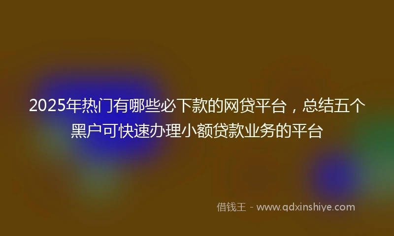 2025年热门有哪些必下款的网贷平台，总结五个黑户可快速办理小额贷款业务的平台