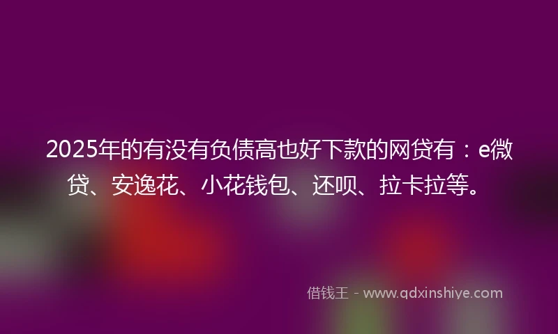 2025年的有没有负债高也好下款的网贷有：e微贷、安逸花、小花钱包、还呗、拉卡拉等。