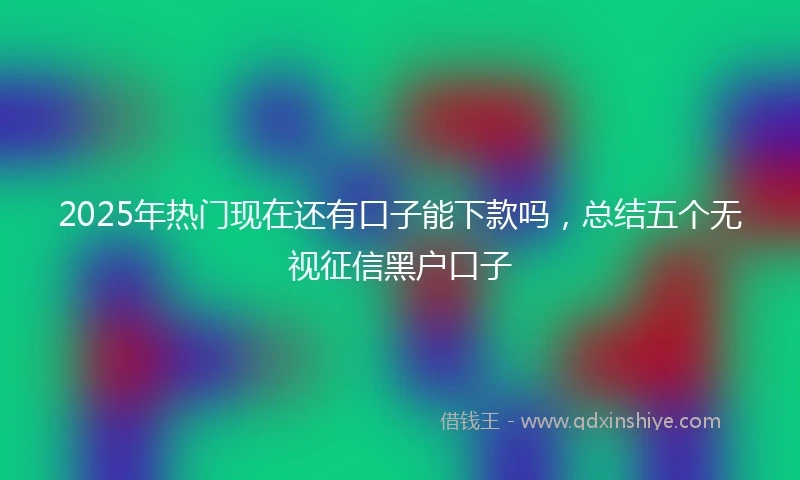 2025年热门现在还有口子能下款吗，总结五个无视征信黑户口子