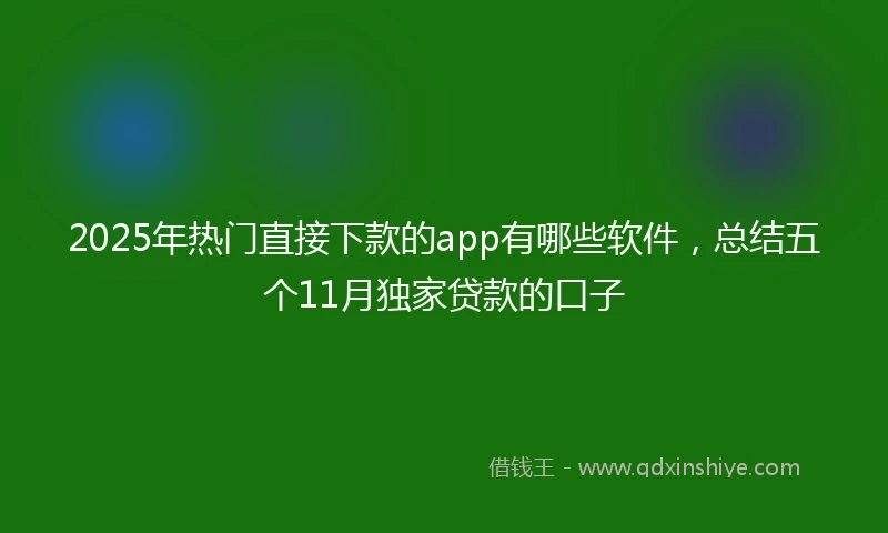2025年热门直接下款的app有哪些软件，总结五个11月独家贷款的口子