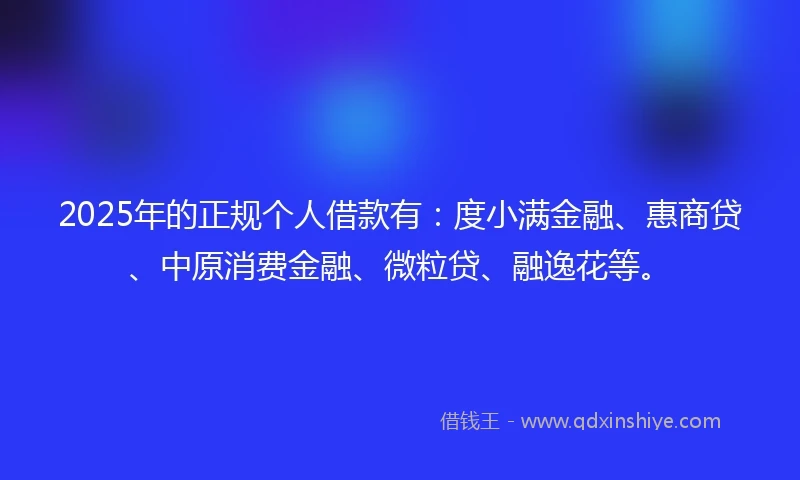 2025年的正规个人借款有：度小满金融、惠商贷、中原消费金融、微粒贷、融逸花等。