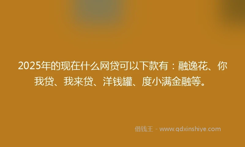 2025年的现在什么网贷可以下款有：融逸花、你我贷、我来贷、洋钱罐、度小满金融等。