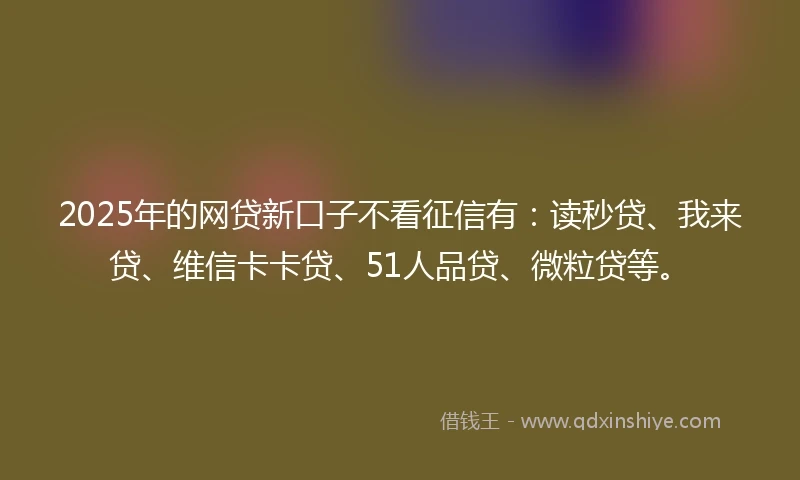 2025年的网贷新口子不看征信有：读秒贷、我来贷、维信卡卡贷、51人品贷、微粒贷等。