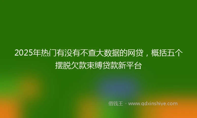 2025年热门有没有不查大数据的网贷，概括五个摆脱欠款束缚贷款新平台