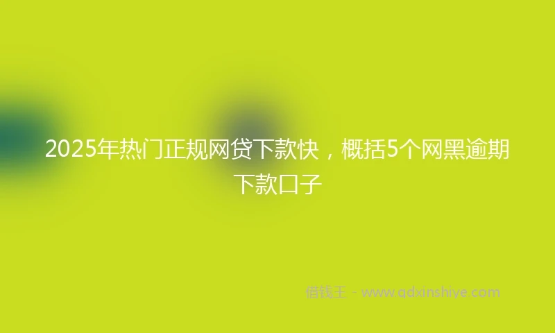 2025年热门正规网贷下款快，概括5个网黑逾期下款口子