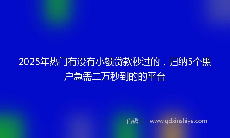 2025年热门有没有小额贷款秒过的，归纳5个黑户急需三万秒到的的平台