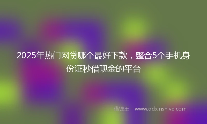 2025年热门网贷哪个最好下款，整合5个手机身份证秒借现金的平台