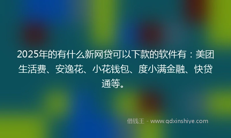 2025年的有什么新网贷可以下款的软件有：美团生活费、安逸花、小花钱包、度小满金融、快贷通等。