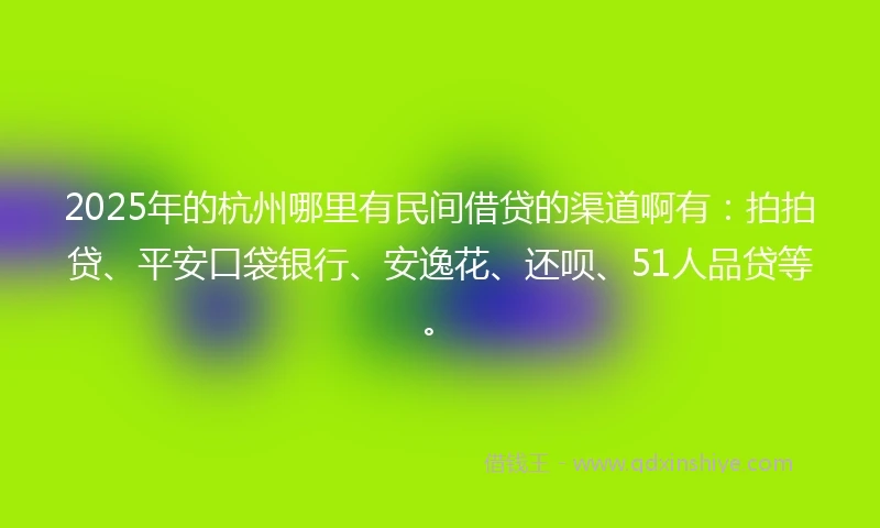 2025年的杭州哪里有民间借贷的渠道啊有：拍拍贷、平安口袋银行、安逸花、还呗、51人品贷等。