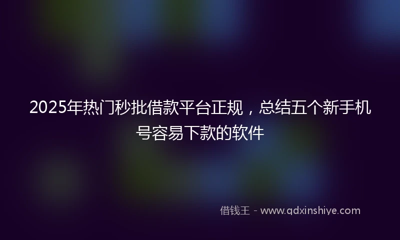 2025年热门秒批借款平台正规，总结五个新手机号容易下款的软件