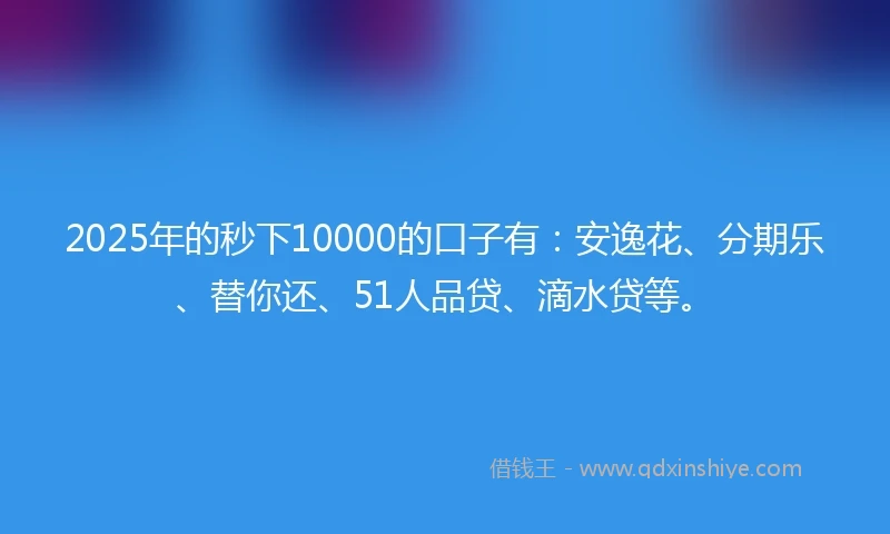2025年的秒下10000的口子有：安逸花、分期乐、替你还、51人品贷、滴水贷等。