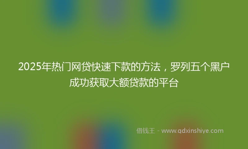 2025年热门网贷快速下款的方法，罗列五个黑户成功获取大额贷款的平台