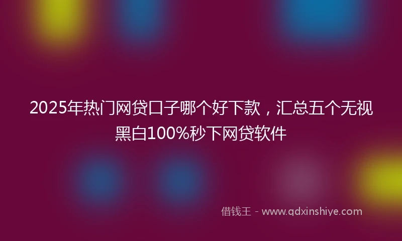 2025年热门网贷口子哪个好下款，汇总五个无视黑白100%秒下网贷软件