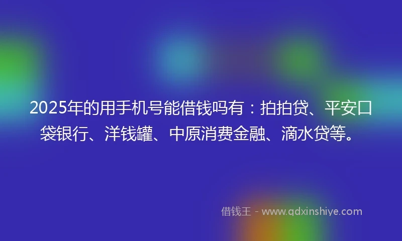 2025年的用手机号能借钱吗有：拍拍贷、平安口袋银行、洋钱罐、中原消费金融、滴水贷等。