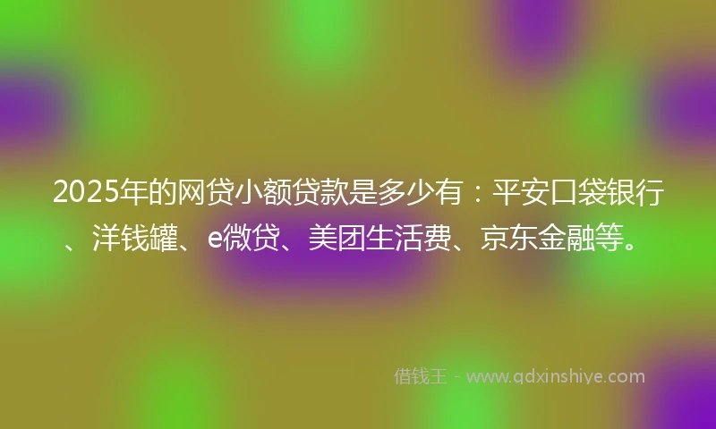 2025年的网贷小额贷款是多少有：平安口袋银行、洋钱罐、e微贷、美团生活费、京东金融等。