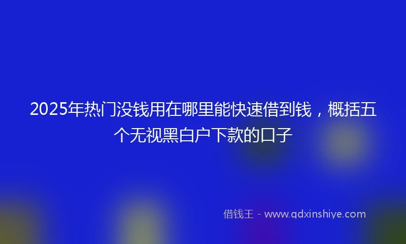 2025年热门没钱用在哪里能快速借到钱，概括五个无视黑白户下款的口子