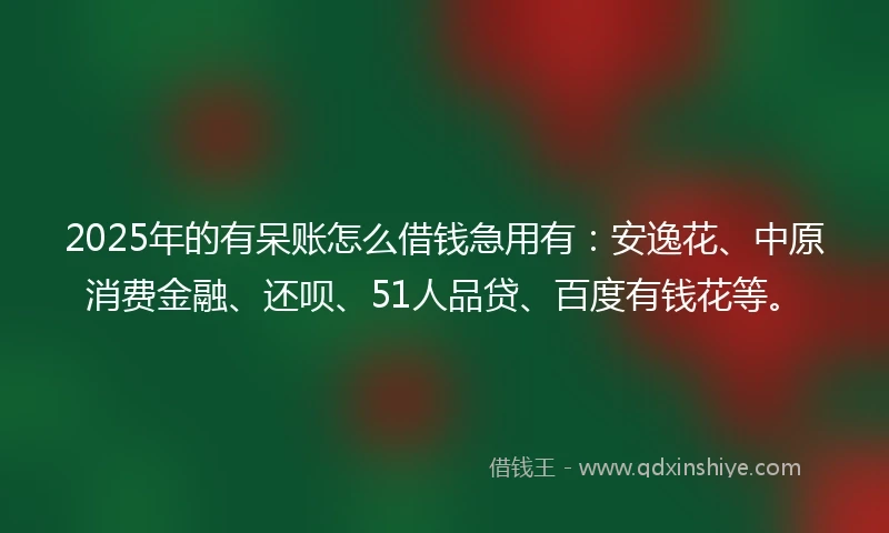 2025年的有呆账怎么借钱急用有：安逸花、中原消费金融、还呗、51人品贷、百度有钱花等。