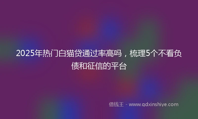 2025年热门白猫贷通过率高吗，梳理5个不看负债和征信的平台