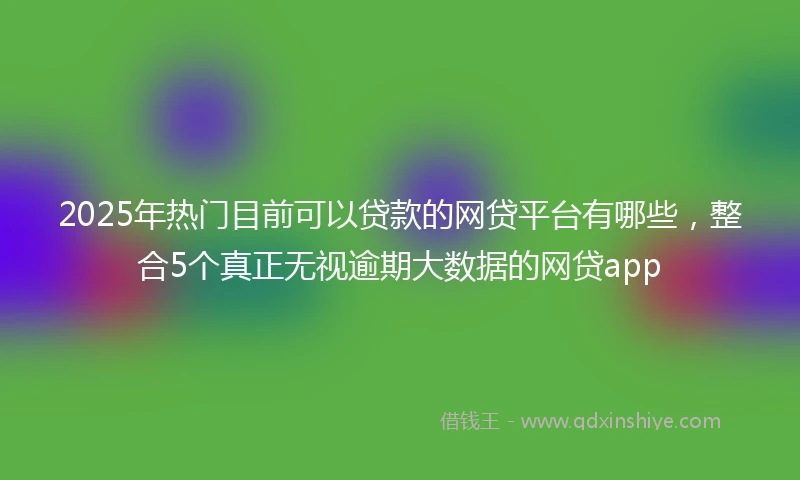 2025年热门目前可以贷款的网贷平台有哪些，整合5个真正无视逾期大数据的网贷app