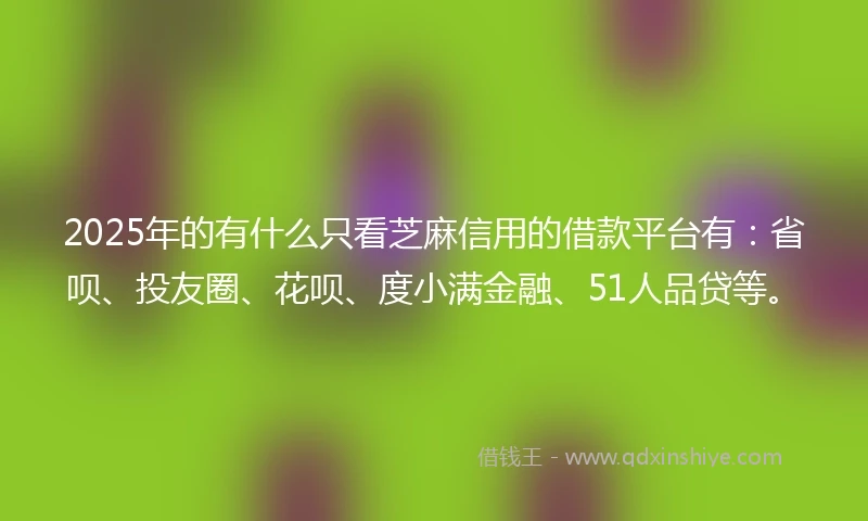 2025年的有什么只看芝麻信用的借款平台有：省呗、投友圈、花呗、度小满金融、51人品贷等。