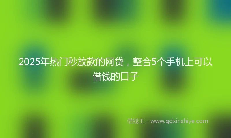 2025年热门秒放款的网贷，整合5个手机上可以借钱的口子