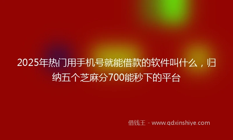 2025年热门用手机号就能借款的软件叫什么，归纳五个芝麻分700能秒下的平台