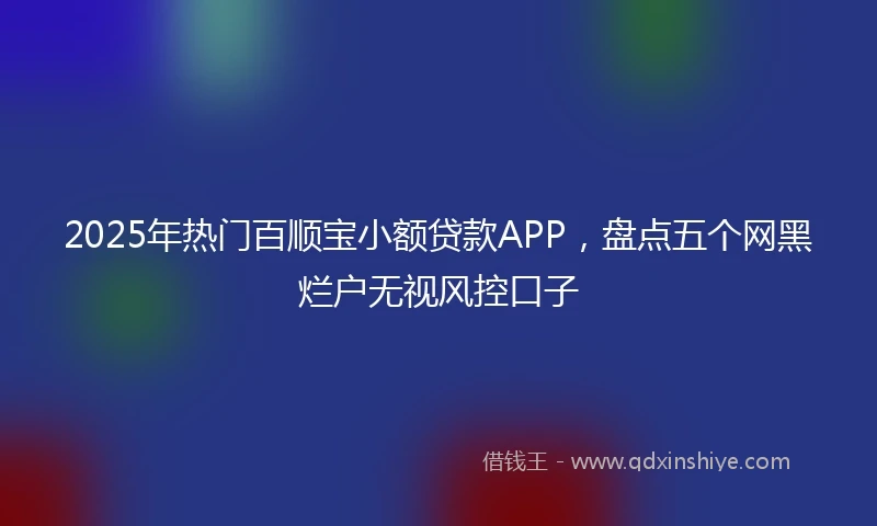 2025年热门百顺宝小额贷款APP，盘点五个网黑烂户无视风控口子
