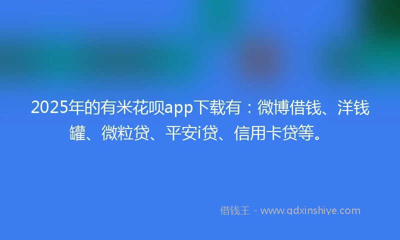 2025年的有米花呗app下载有：微博借钱、洋钱罐、微粒贷、平安i贷、信用卡贷等。