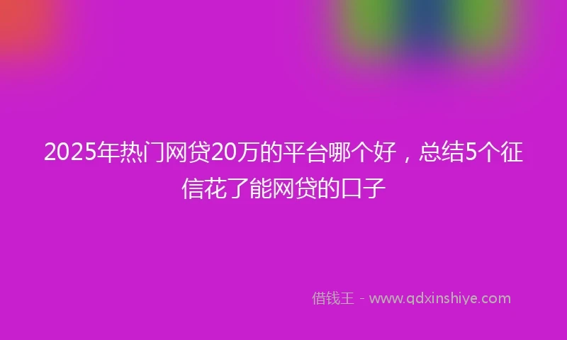 2025年热门网贷20万的平台哪个好，总结5个征信花了能网贷的口子