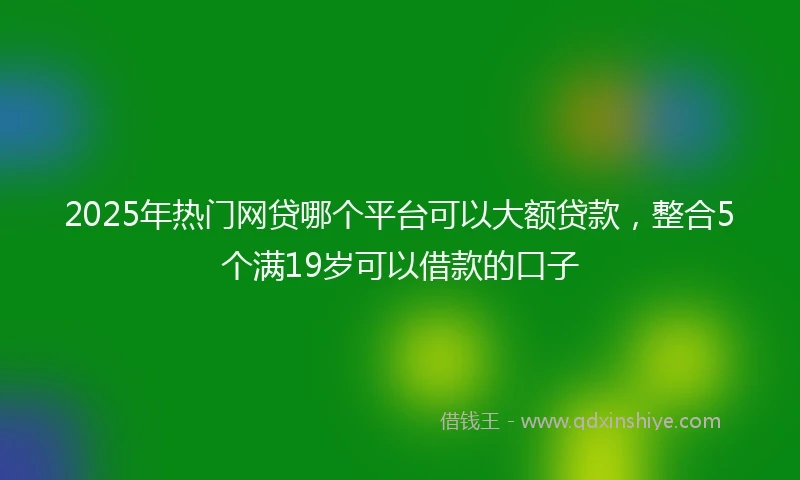2025年热门网贷哪个平台可以大额贷款，整合5个满19岁可以借款的口子