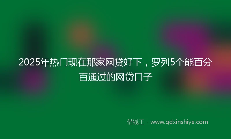 2025年热门现在那家网贷好下，罗列5个能百分百通过的网贷口子