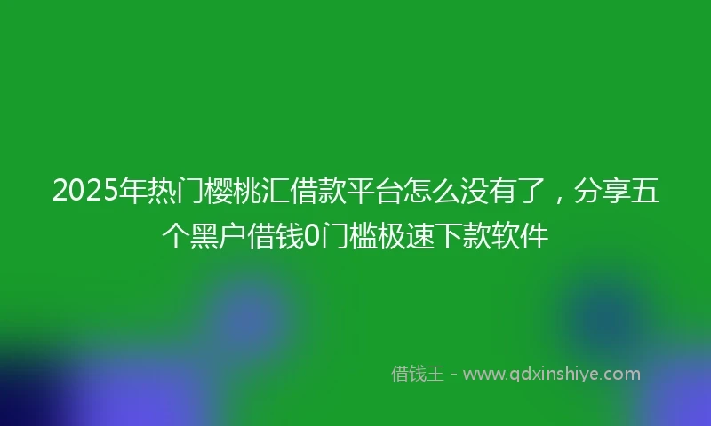 2025年热门樱桃汇借款平台怎么没有了，分享五个黑户借钱0门槛极速下款软件