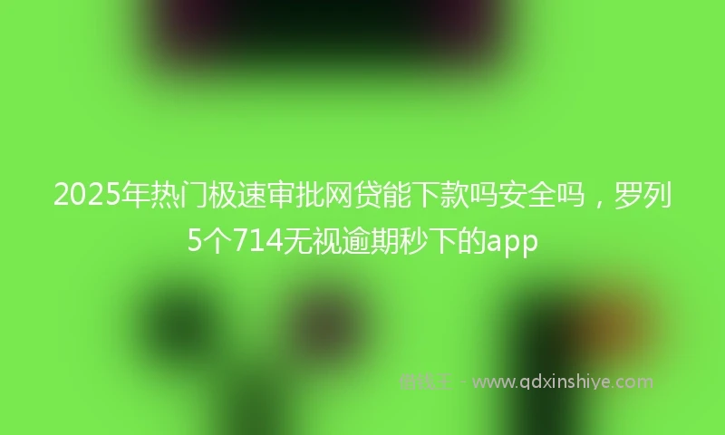 2025年热门极速审批网贷能下款吗安全吗，罗列5个714无视逾期秒下的app