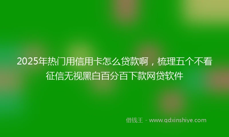 2025年热门用信用卡怎么贷款啊，梳理五个不看征信无视黑白百分百下款网贷软件
