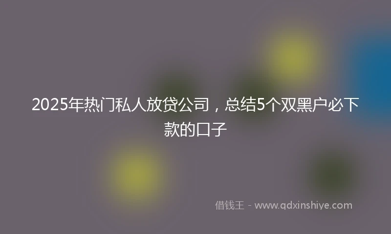 2025年热门私人放贷公司，总结5个双黑户必下款的口子