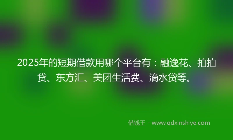 2025年的短期借款用哪个平台有：融逸花、拍拍贷、东方汇、美团生活费、滴水贷等。