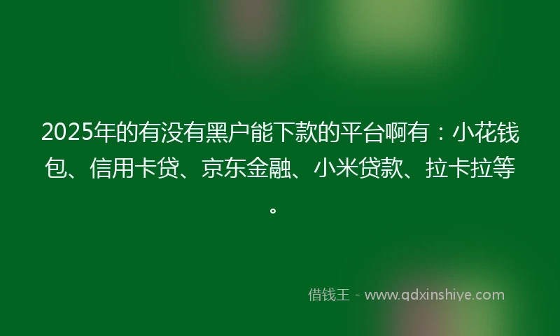2025年的有没有黑户能下款的平台啊有：小花钱包、信用卡贷、京东金融、小米贷款、拉卡拉等。