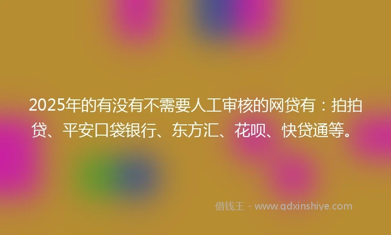 2025年的有没有不需要人工审核的网贷有：拍拍贷、平安口袋银行、东方汇、花呗、快贷通等。