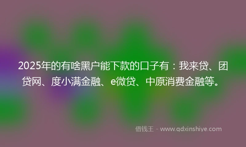 2025年的有啥黑户能下款的口子有：我来贷、团贷网、度小满金融、e微贷、中原消费金融等。
