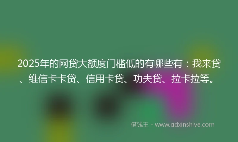 2025年的网贷大额度门槛低的有哪些有：我来贷、维信卡卡贷、信用卡贷、功夫贷、拉卡拉等。